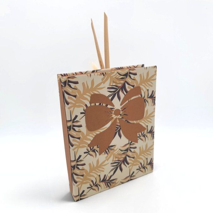 coffret du lecteur